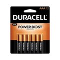 Duracell Coppertop AA Alkaline Batteries 12 pk Carded 04343